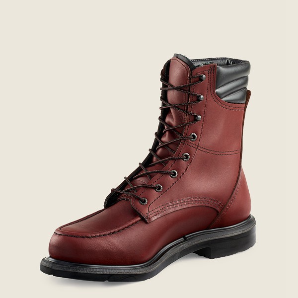 Red Wing Work Boots Burgundy - Mens Supersole® - 8-inch Soft Toe - 8902-COYVD